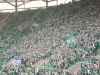 Stevanovic wins Polish League with Slask